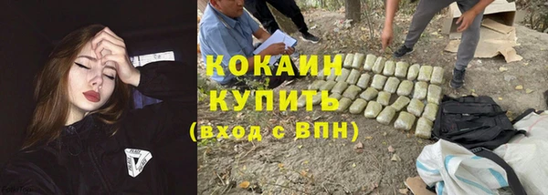 a pvp Алзамай