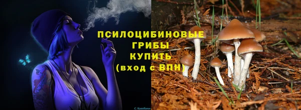 a pvp Алзамай