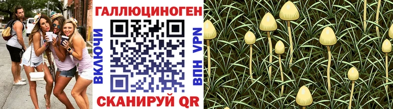 цены   Отрадная  кракен   Псилоцибиновые грибы Psilocybine cubensis 